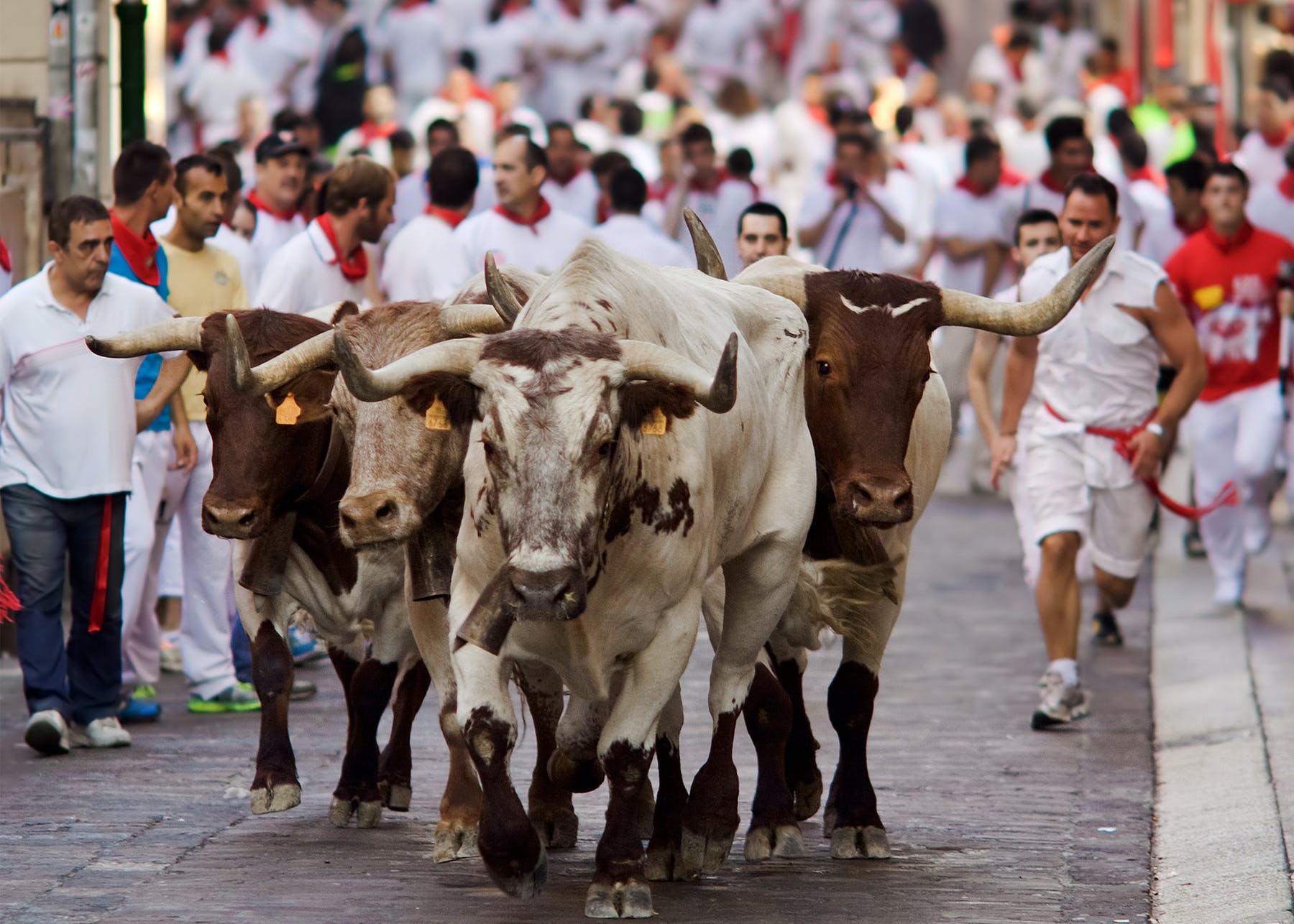 San Fermin ponovo odgođen
