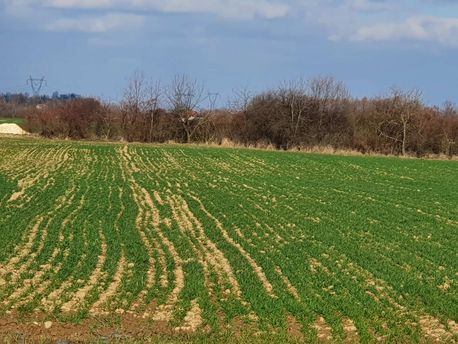 Farmeri Semberije upozoravaju na alarmantno stanje u agraru