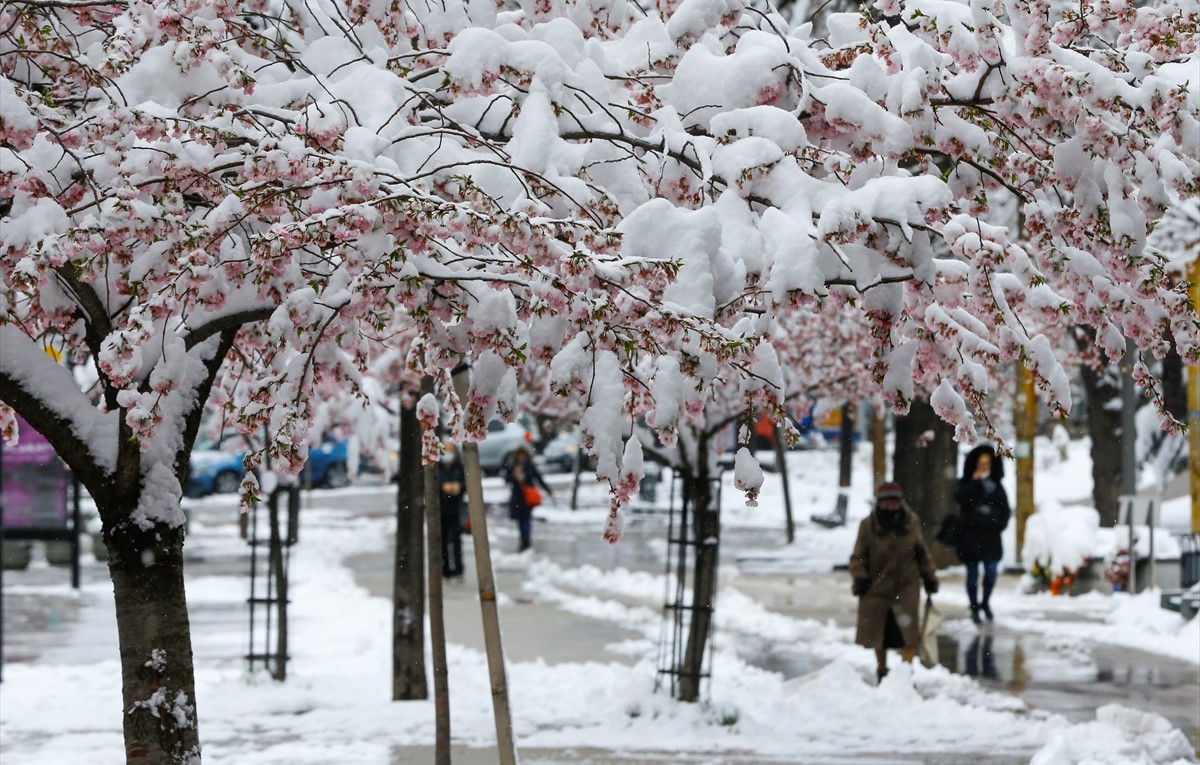 U Kantonu Sarajevo 179 novozaraženih, deset osoba preminulo