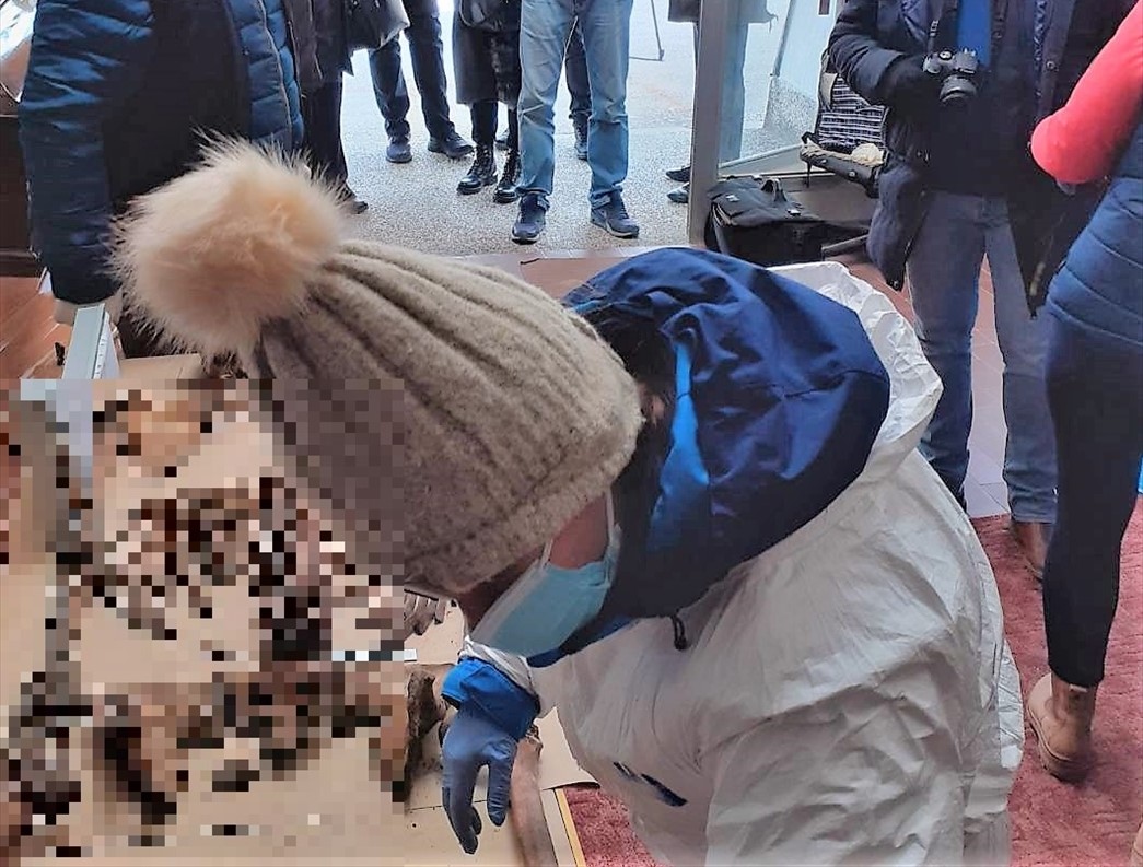 U Travniku identifikacija žrtava ratnih zločina iz Bugojna