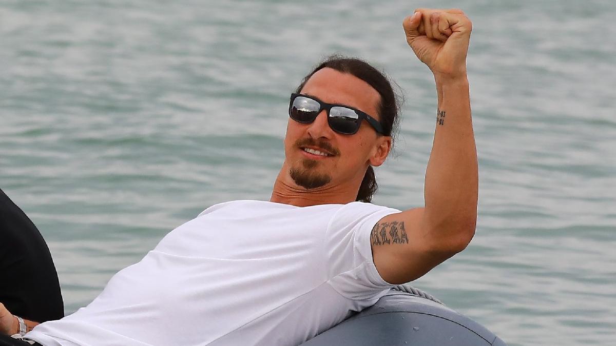 Ibrahimović sebi kupio tisuću hektara šume