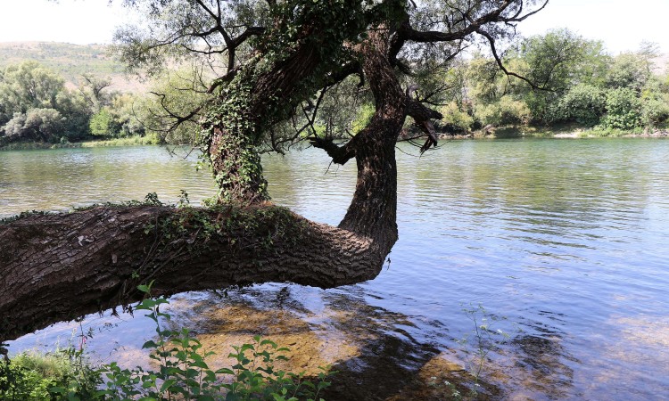 U rijeci Bunici pronađeno tijelo muškarca