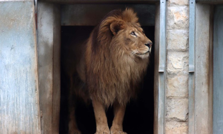 Pionirska dolina spremna za zimu