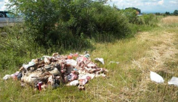 ZDK: Značaj adekvatnog zbrinjavanja animalnog otpada