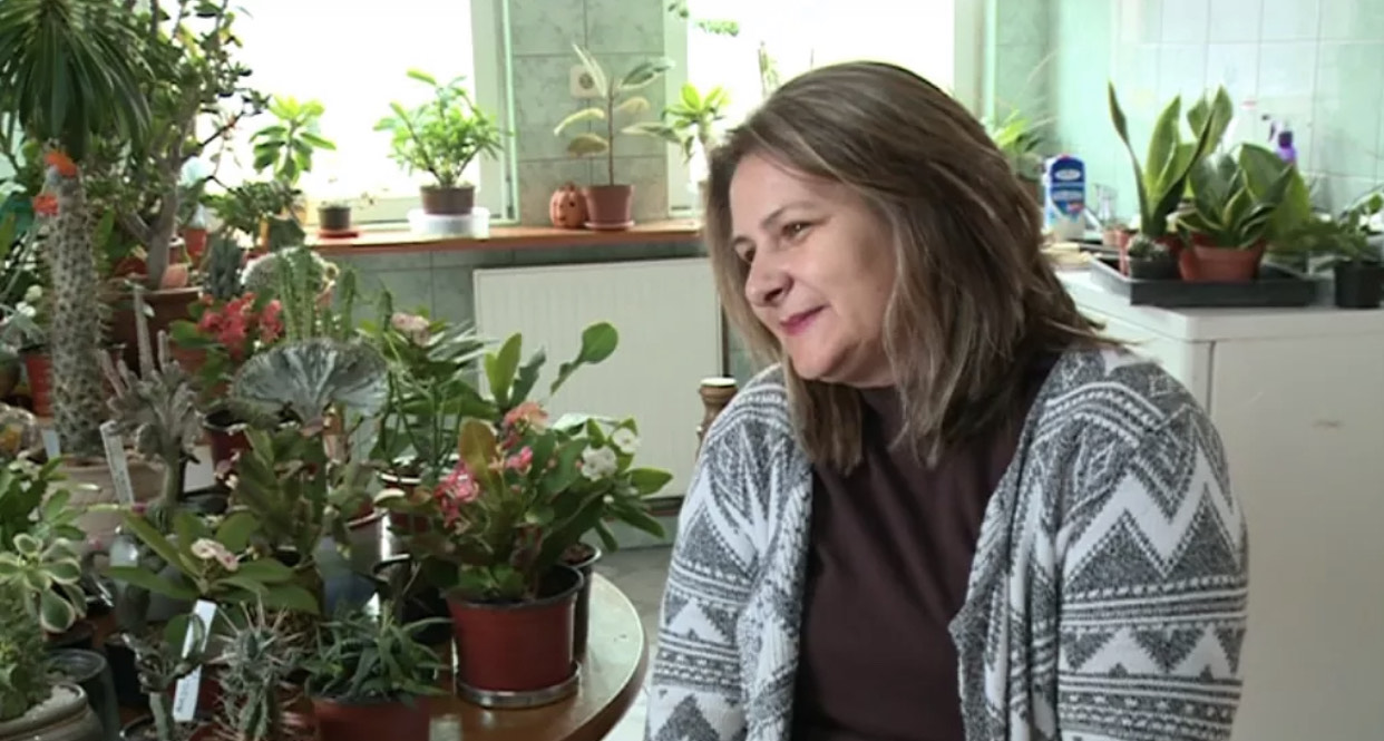 Neobičan hobi: Bračni par iz Tuzle sakupio preko 1500 vrsta kaktusa