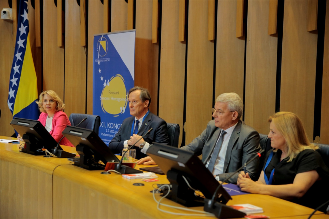 Dijaspora je kapital koji treba iskoristiti, ali strategijski i planski