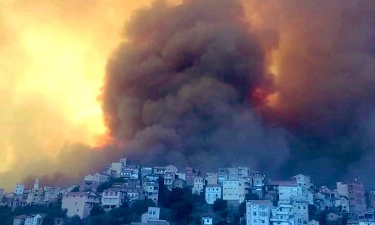 Broj poginulih u šumskim požarima u Alžiru povećao se na 65