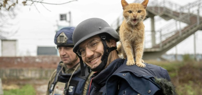UNESCO osudio ubistvo novinara AFP-a Armana Soldina
