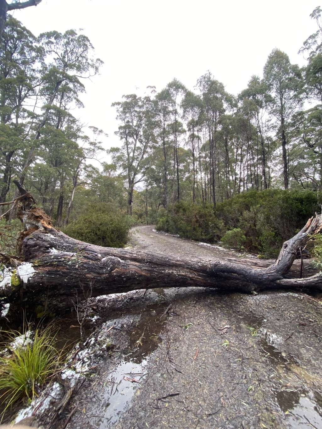 Veliko nevrijeme pogodilo Australiju
