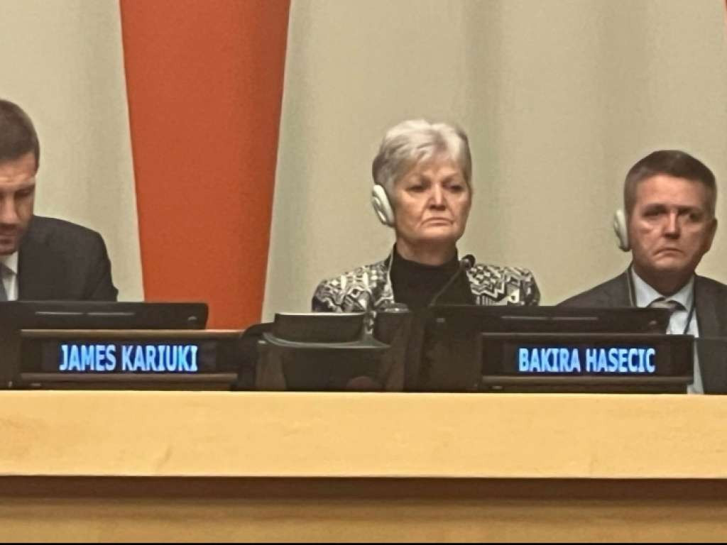 Hasečić u Vijeću sigurnosti UN-a: Mi ne pristajemo da naša srca i duše ostanu zgažene, a mi ponižene