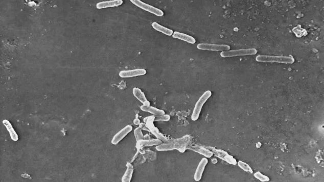 Kapi za oči u SAD-u kontaminirane opasnim bakterijama, do sada zabilježena tri smrtna slučaja