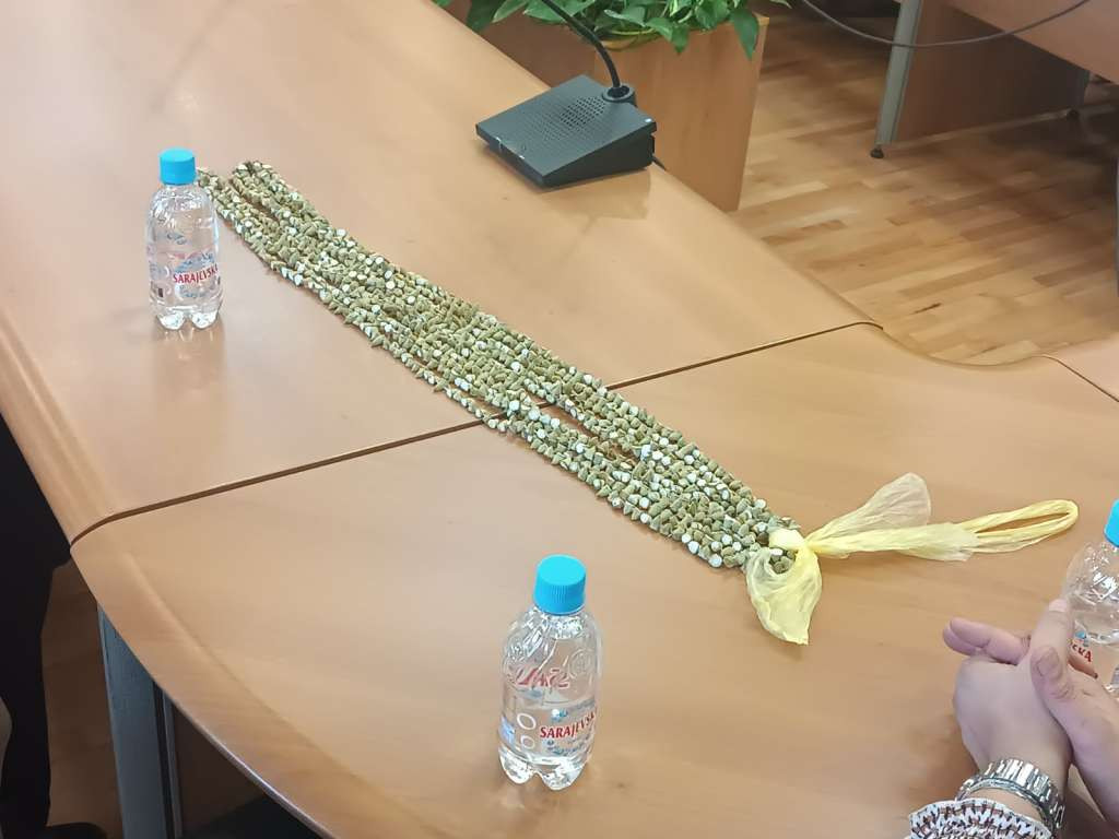 Kategorisana bamija iz Brčko distrikta BiH