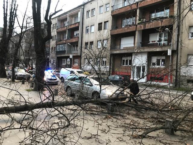 Nevrijeme u Banja Luci, vjetar obarao stabla