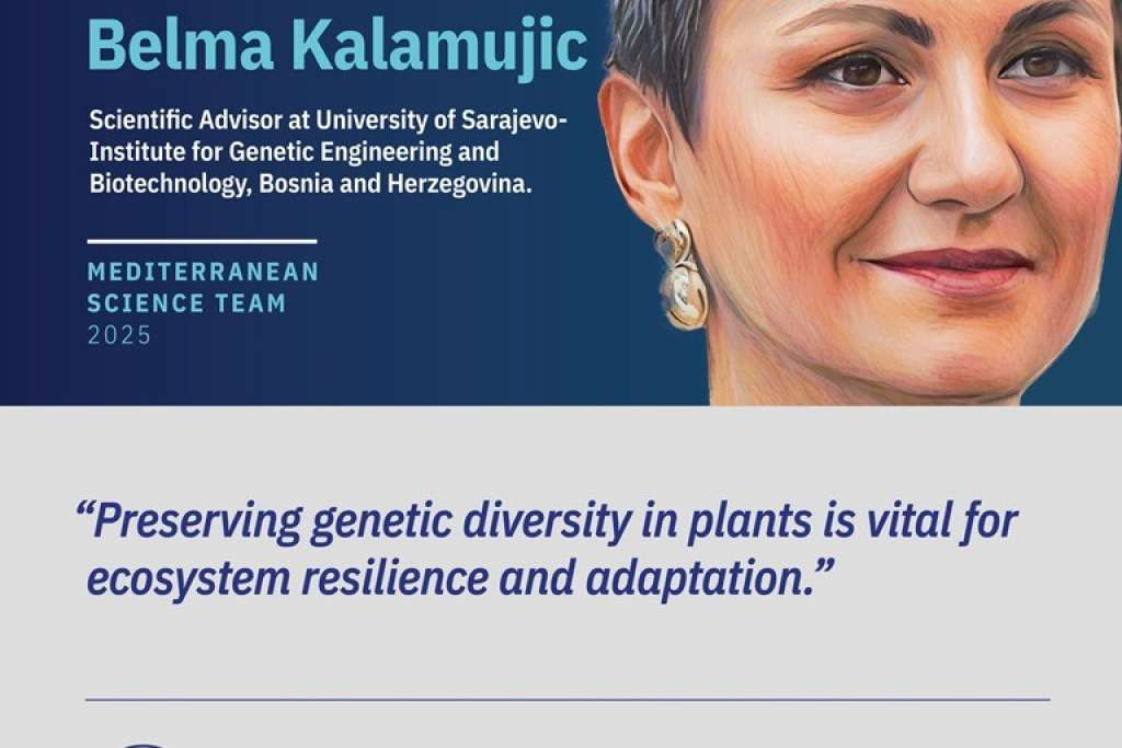 Belma Kalamujić Stroil među vodećim istraživačicama Mediterana