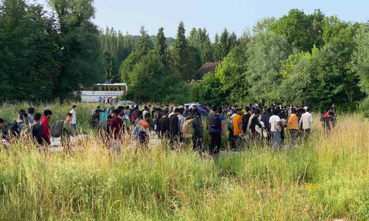 Izmješteno 187 migranata sa dvije lokacije na području Bihaća