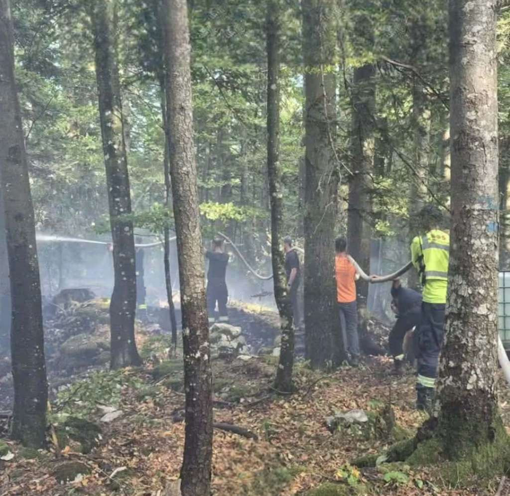 Požar na Plješevici: Nema otvorenog plamena, ekipe saniraju podzemna žarišta