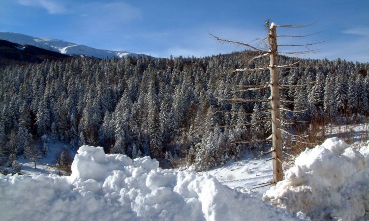 Narednih dana temperature zraka u blagom porastu