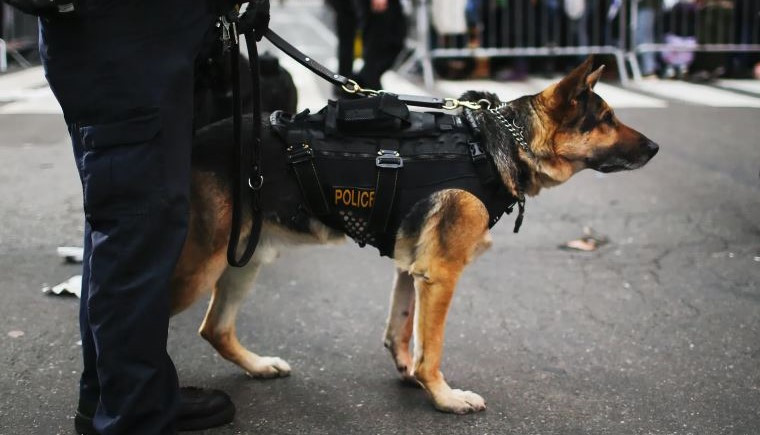 Moldavska policija istražuje niz lažnih dojava o postavljenim bombama