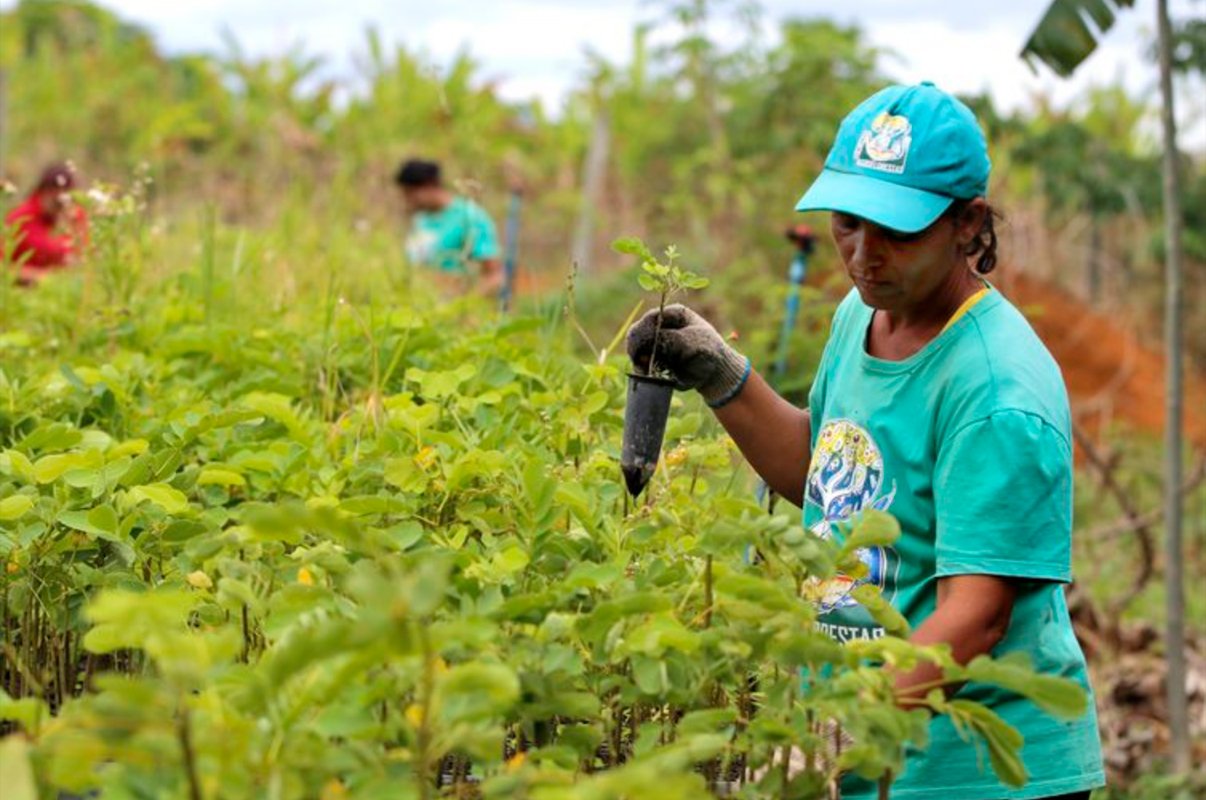 Brazil hrani 10 posto svjetske populacije
