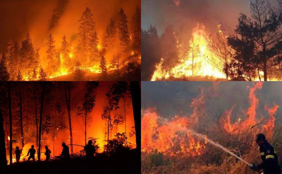 Požar u Kalabriji i najavljene nove visoke temperature