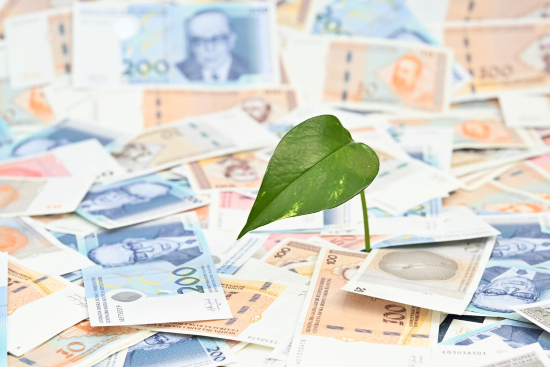 CB BiH postala članica dvije međunarodno priznate mreže za održivo finansiranje