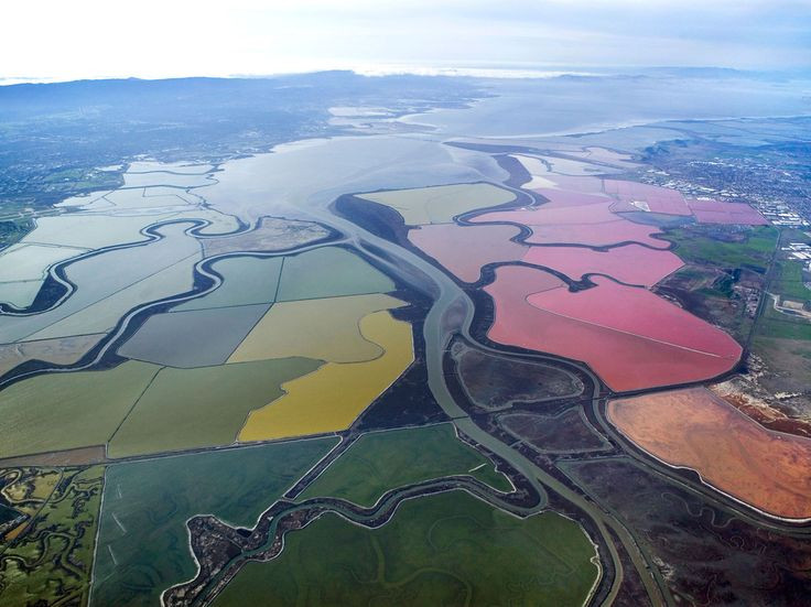 Slana jezera u zaljevu San Francisco