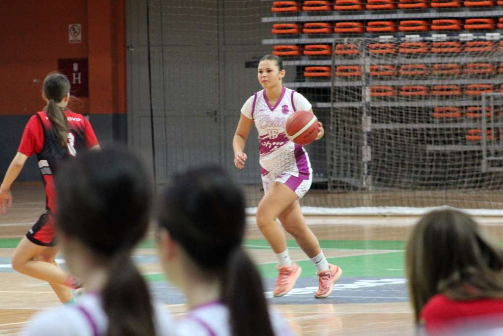Košarkašice Čelika u sklopu 16. memorijala 'Amna Fazlić' savladale Play-Off iz Sarajeva