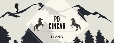 Januar na Cincaru – bajkoviti predjeli i krda divljih konja jedinstvena turistička atrakcija