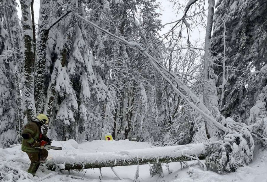 Zatvoren put Kozarac - Mrakovica zbog snijega i stabala na kolovozu
