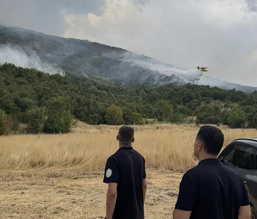 U Sjevernoj Makedoniji aktivno 14 požara, četiri pod kontrolom