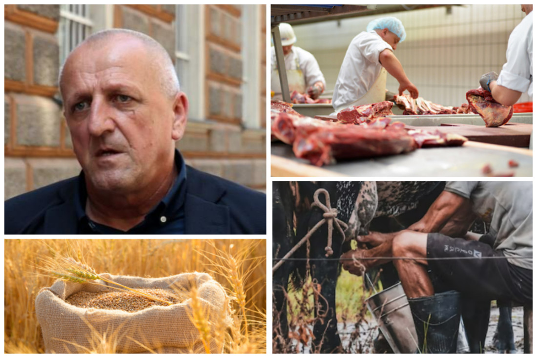 Nedžad Bićo za FR o štetama i teškoćama za poljoprivrednike