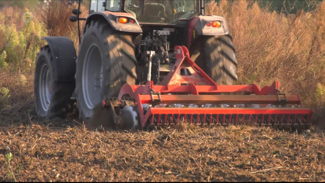 Ratari u Posavini čekaju poticaje za pšenicu, sjetva pred vratima