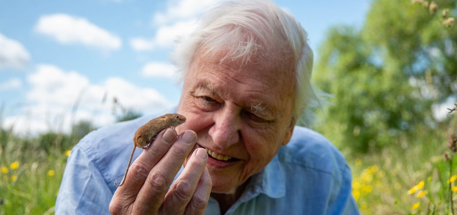 David Attenborough, koji je život posvetio istraživanju i prikazivanju prirode svijetu, puni 100 godina