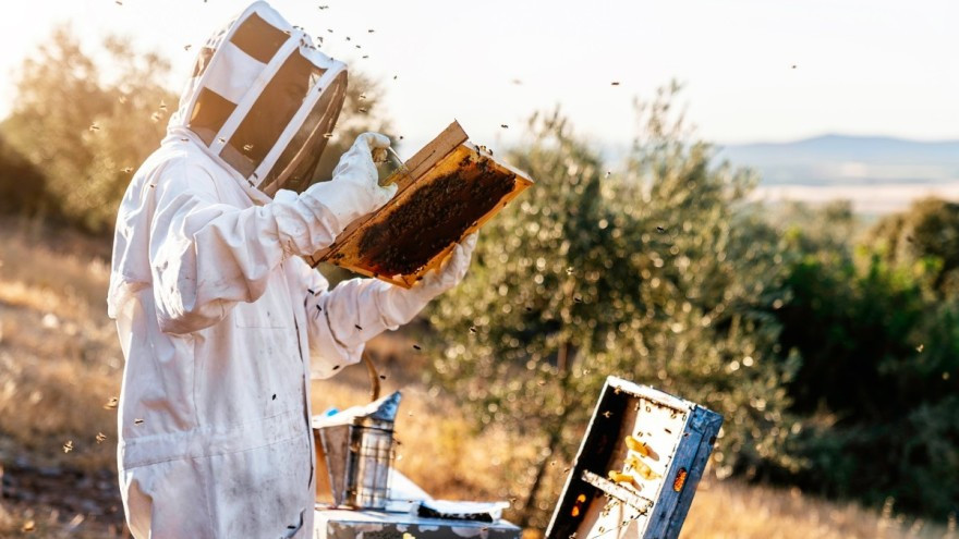 Sedmi kongres o pčelarstvu i pčelinjim proizvodima u Sarajevu 12. i 13. novembra