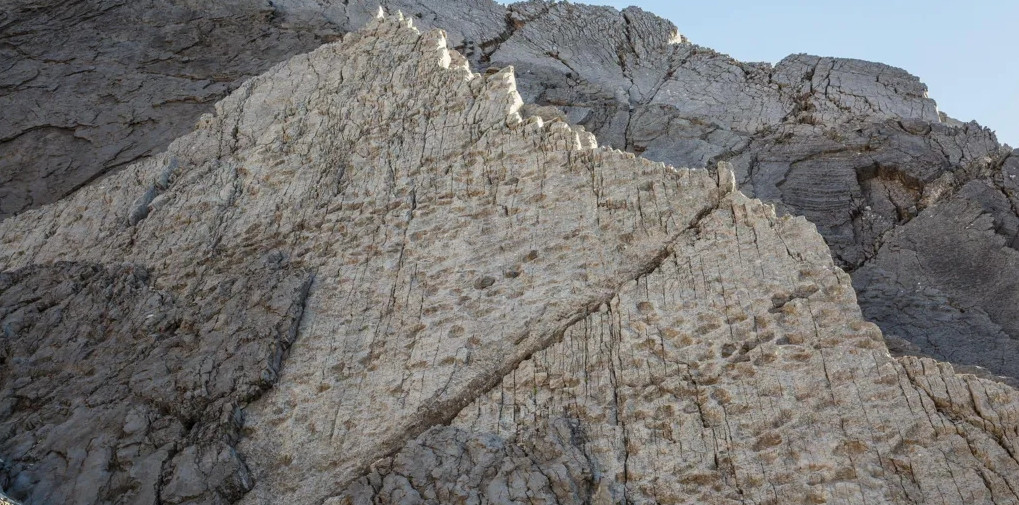 Pronađene hiljade otisaka dinosaurusa na planini u Italiji