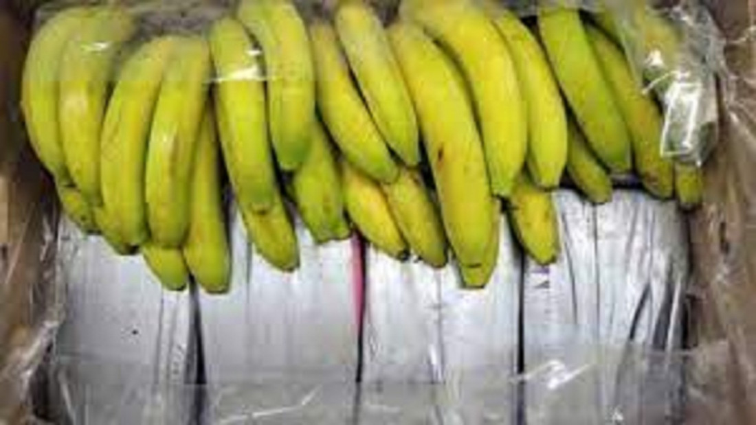 Grčka: Kokain pronađen u pošiljci banana, uhapšena četiri Britanca