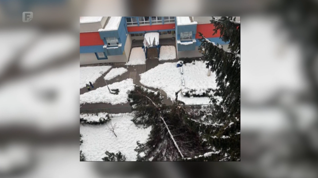 Izbjegnuta nova tragedija na Grbavici u Sarajevu: Kod Osnovne škole Kovačići srušilo se stablo