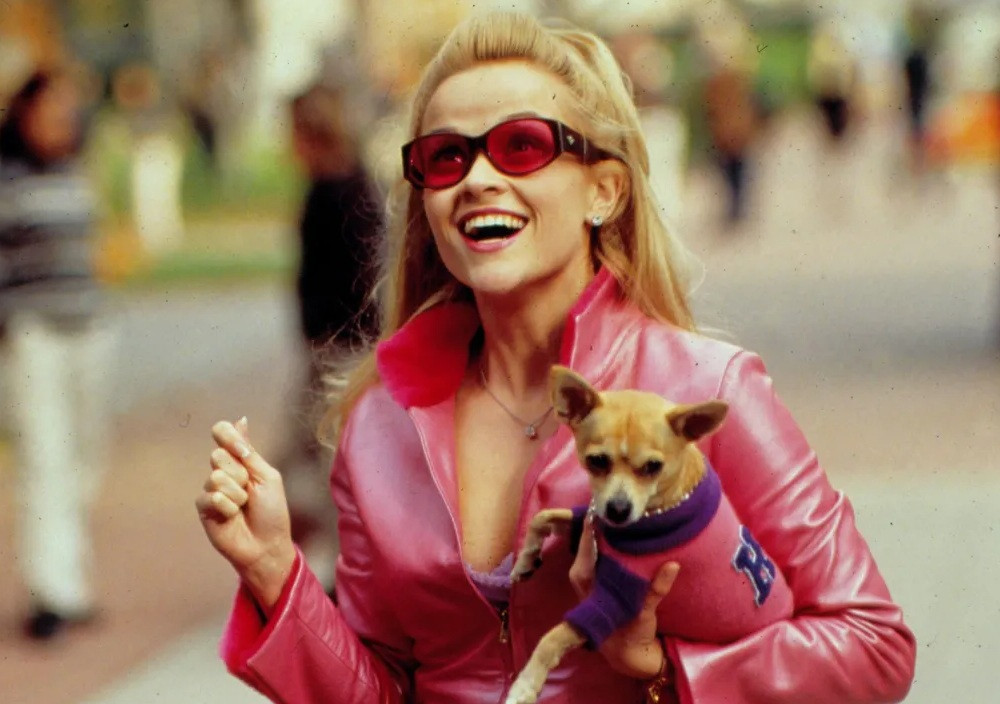 Dvadeset pet godina 'Legally Blonde' - Elle Woods i dalje nadahnjuje novu generaciju pravnica