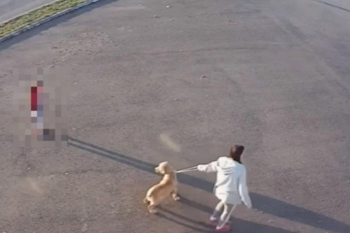 Dubičanka optužena zbog davljenja psa
