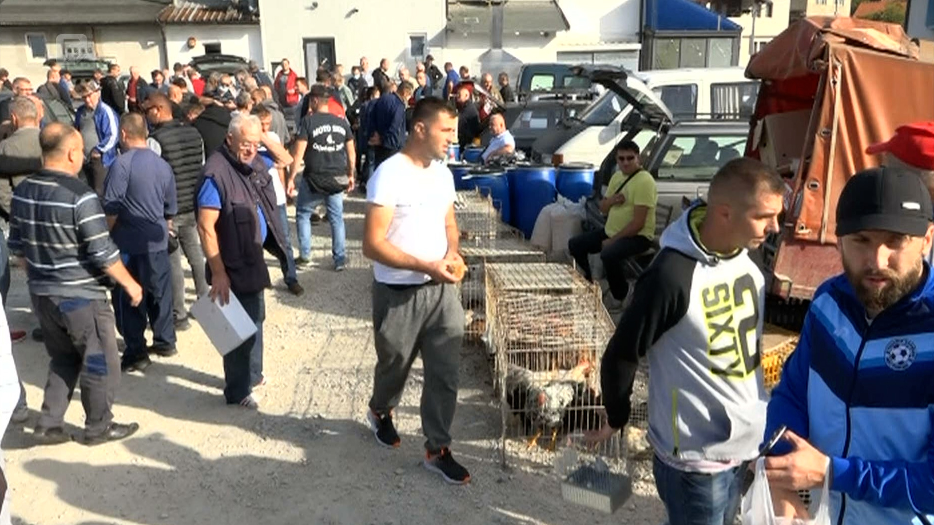 U Tešnju održana 19. berza sitnih životinja