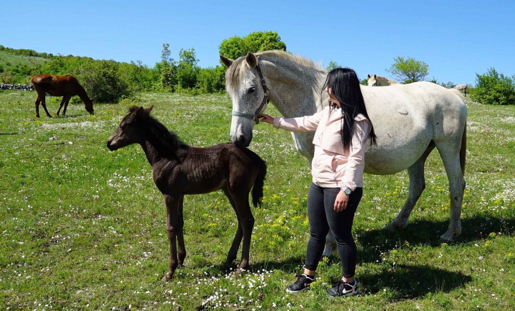 Terapijsko jahanje u oazi mira okruženoj netaknutom prirodom