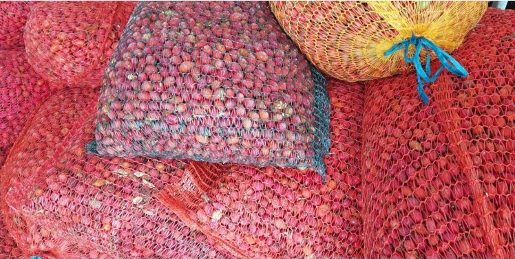 'Mali zalogaji prirode' žena ramskoga kraja