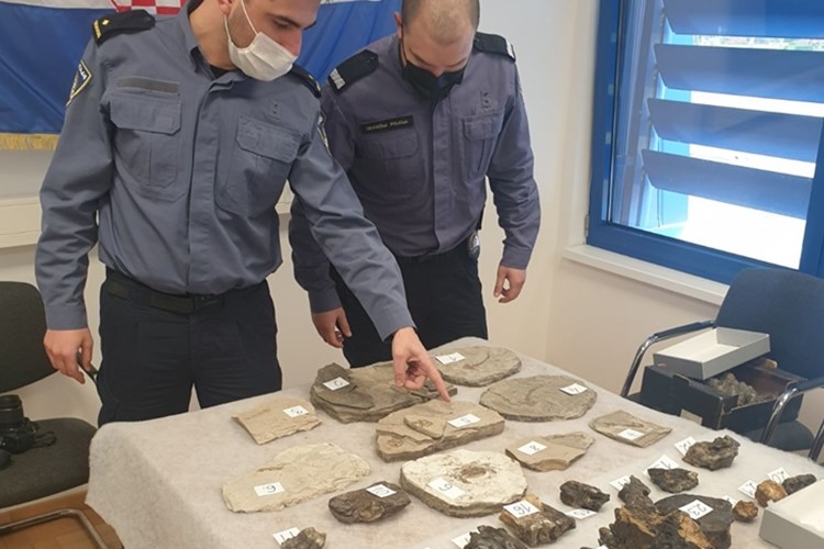 Slovenac pokušao iz BiH prokrijumčariti fosile neprocjenjive vrijednosti