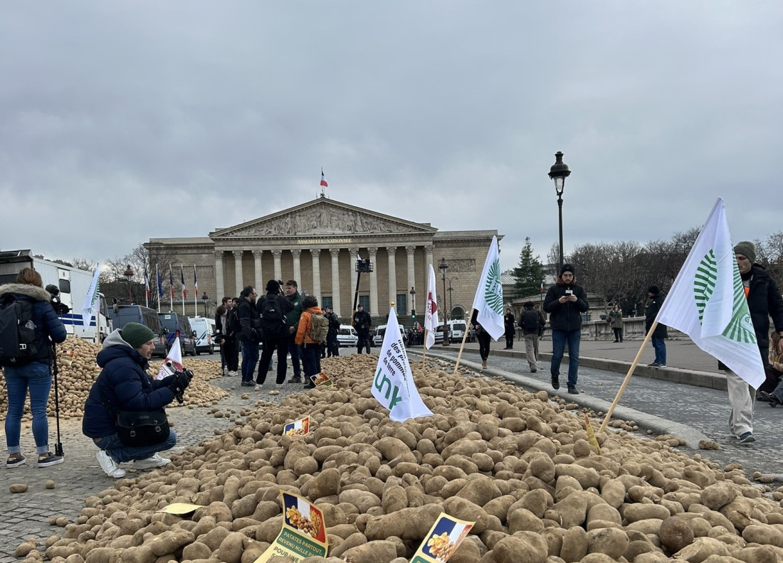 Francuski poljoprivrednici istovarili 30 tona krompira ispred parlamenta u znak protesta