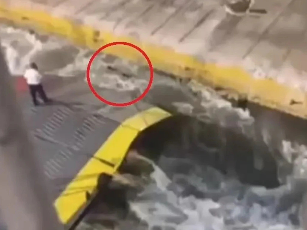 Grčki premijer najavio istragu o smrti mladića koji je gurnut sa trajekta