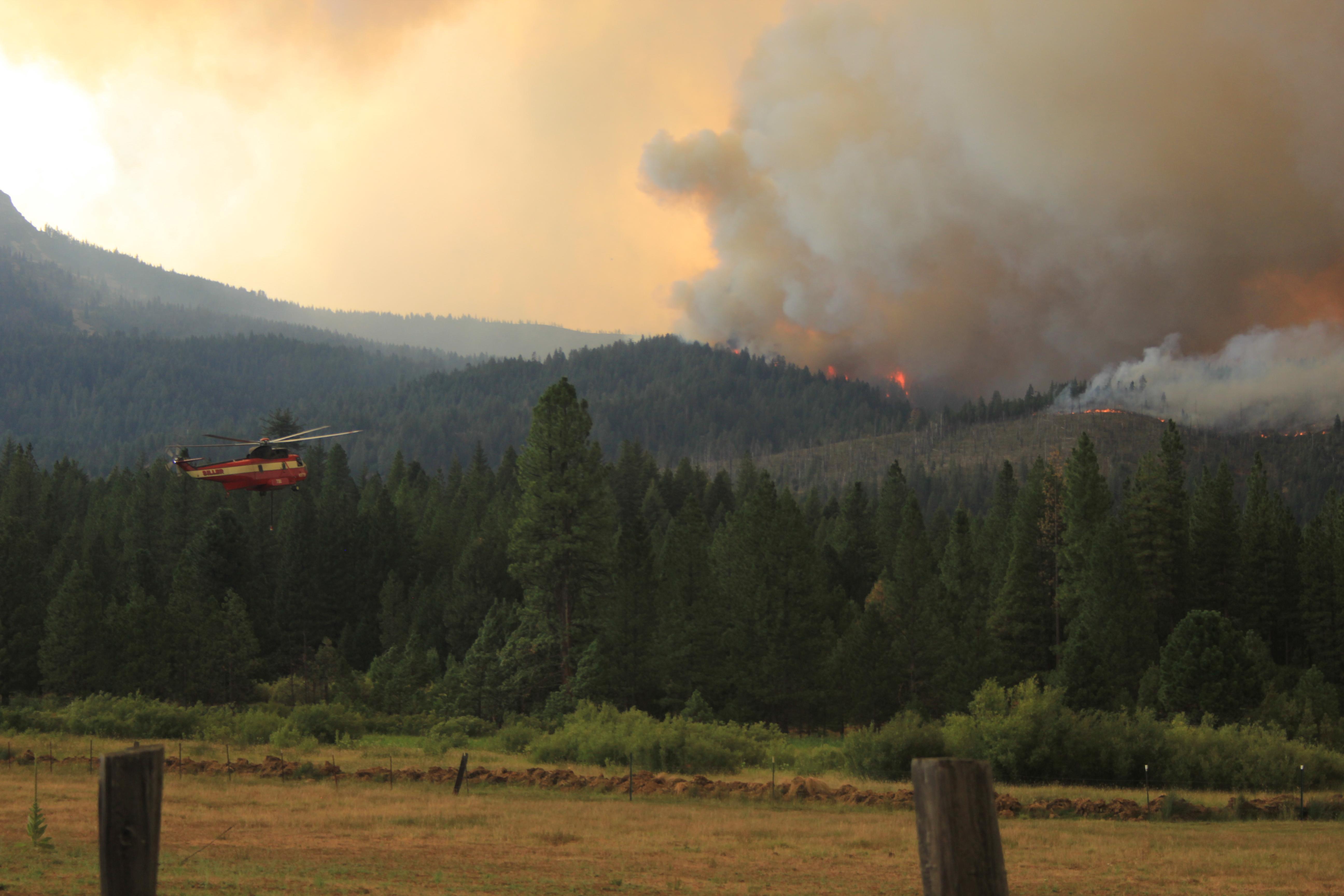 U Kaliforniji šumski požar uništio gradić Greenville