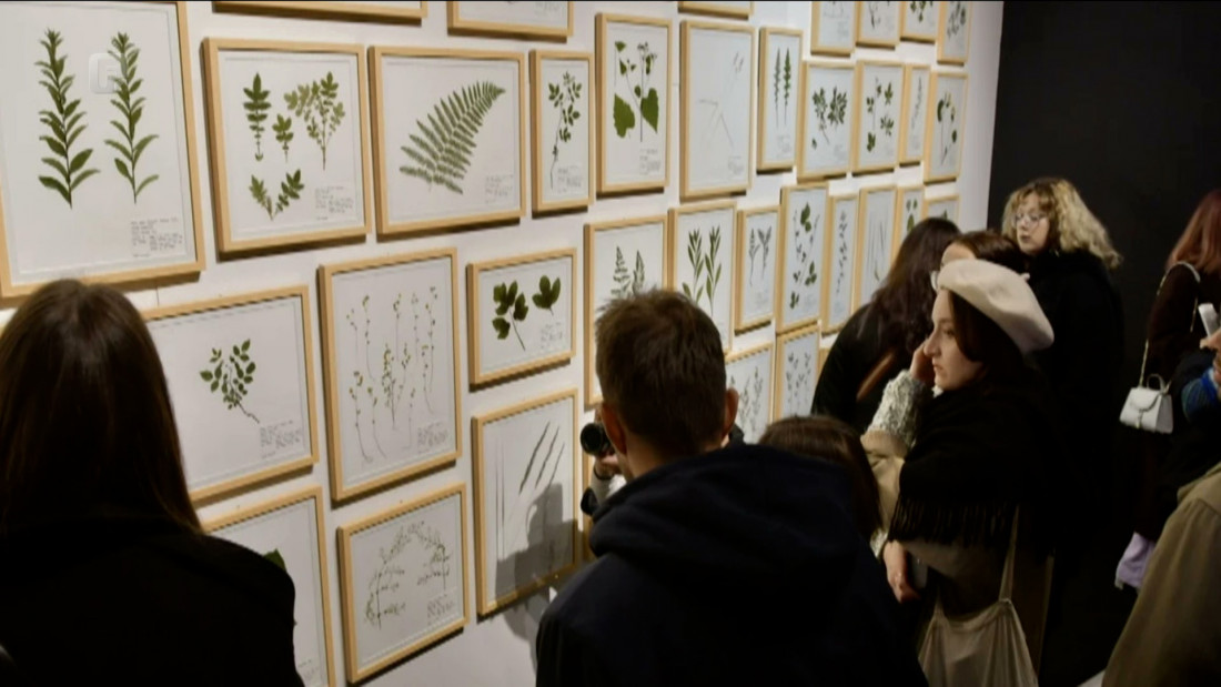 "Herbarium" u Zemaljskom muzeju Bosne i Hercegovine