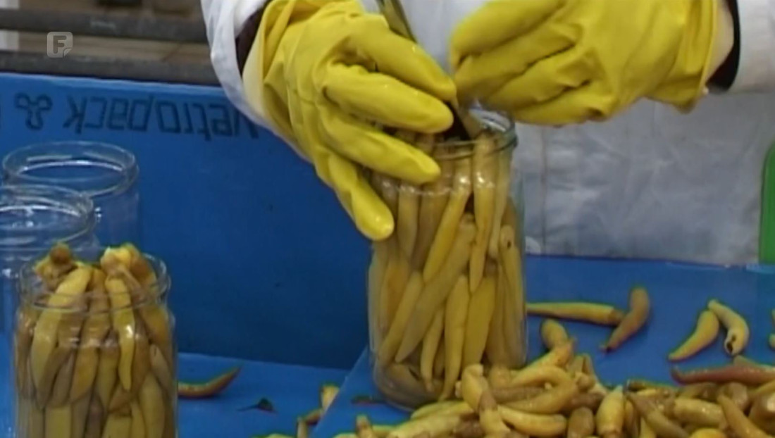 Očekuje li nas najesen novi talas poskupljenja hrane?