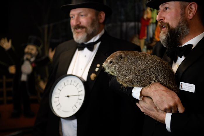 Čuveni mrmot Phil prognozirao još šest nedjelja zime u SAD-u