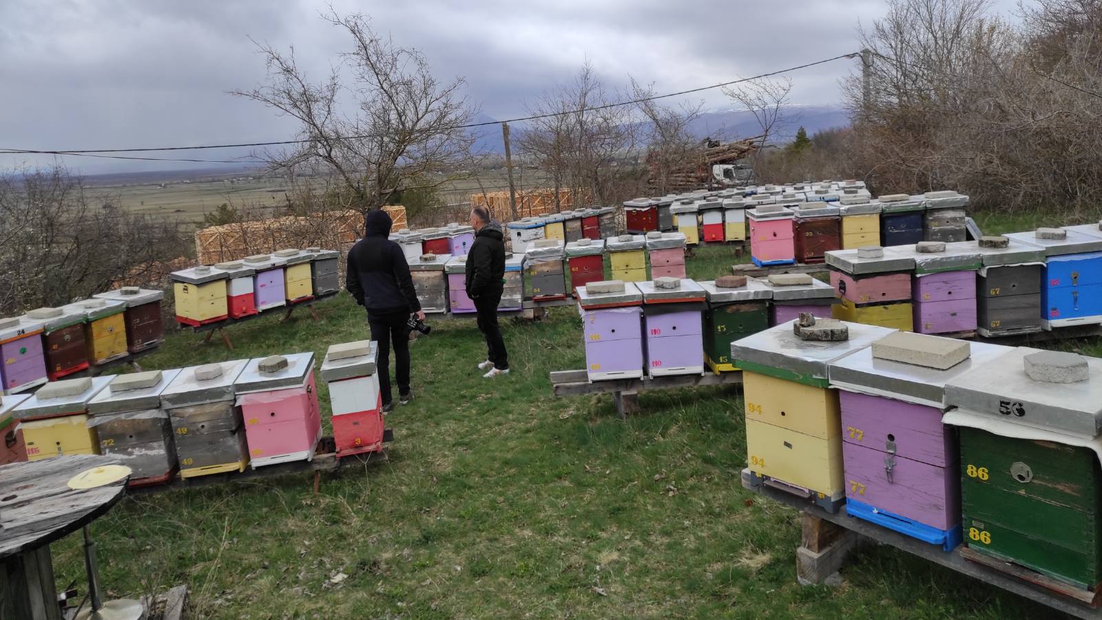 100 pčelinjih društava za Livnjake